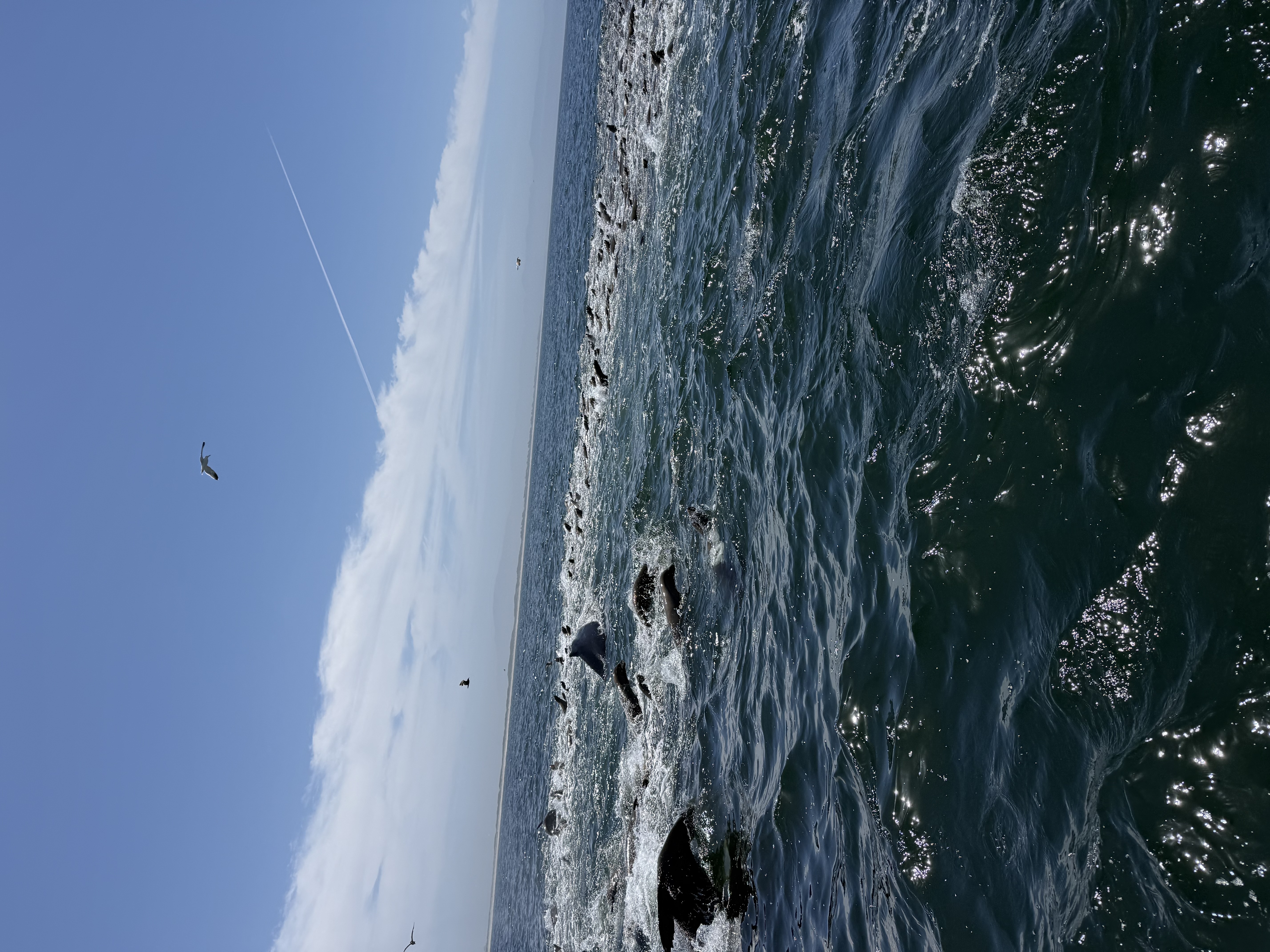 Captain's log photo