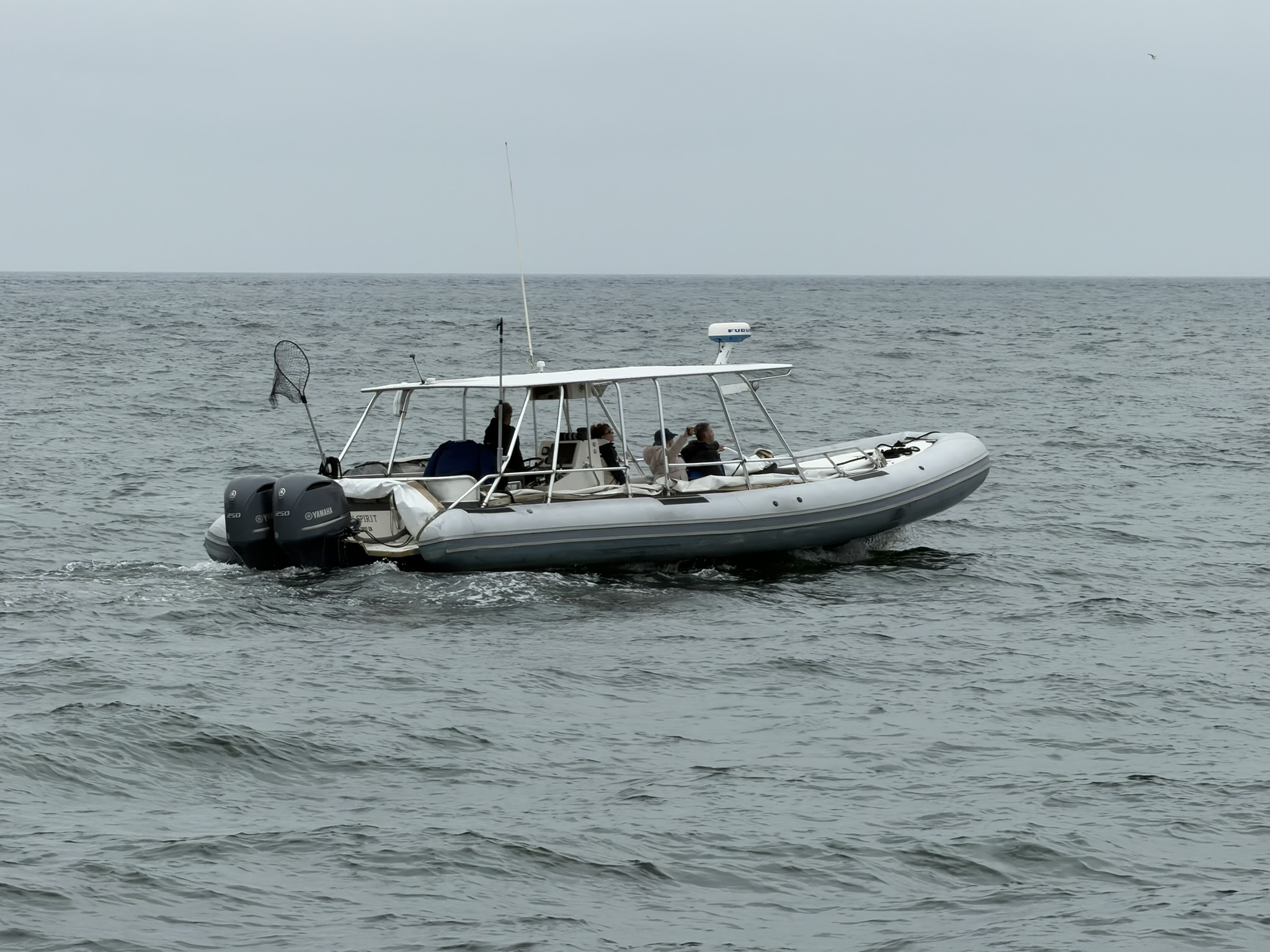 Vessel photo